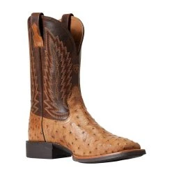 Ariat Men`s Quantum Primo Ranger FQ Ostrich 11` Beam Brown Top Square Toe Boots 8 Ariat Men`s Quantum Primo Ranger FQ Ostrich 11` Beam Brown Top Square Toe Boots -Ariat Sales Store 10040281 3