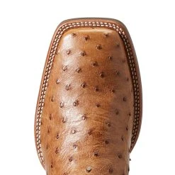 Ariat Men`s Quantum Primo Ranger FQ Ostrich 11` Beam Brown Top Square Toe Boots 9 Ariat Men`s Quantum Primo Ranger FQ Ostrich 11` Beam Brown Top Square Toe Boots -Ariat Sales Store 10040281 4