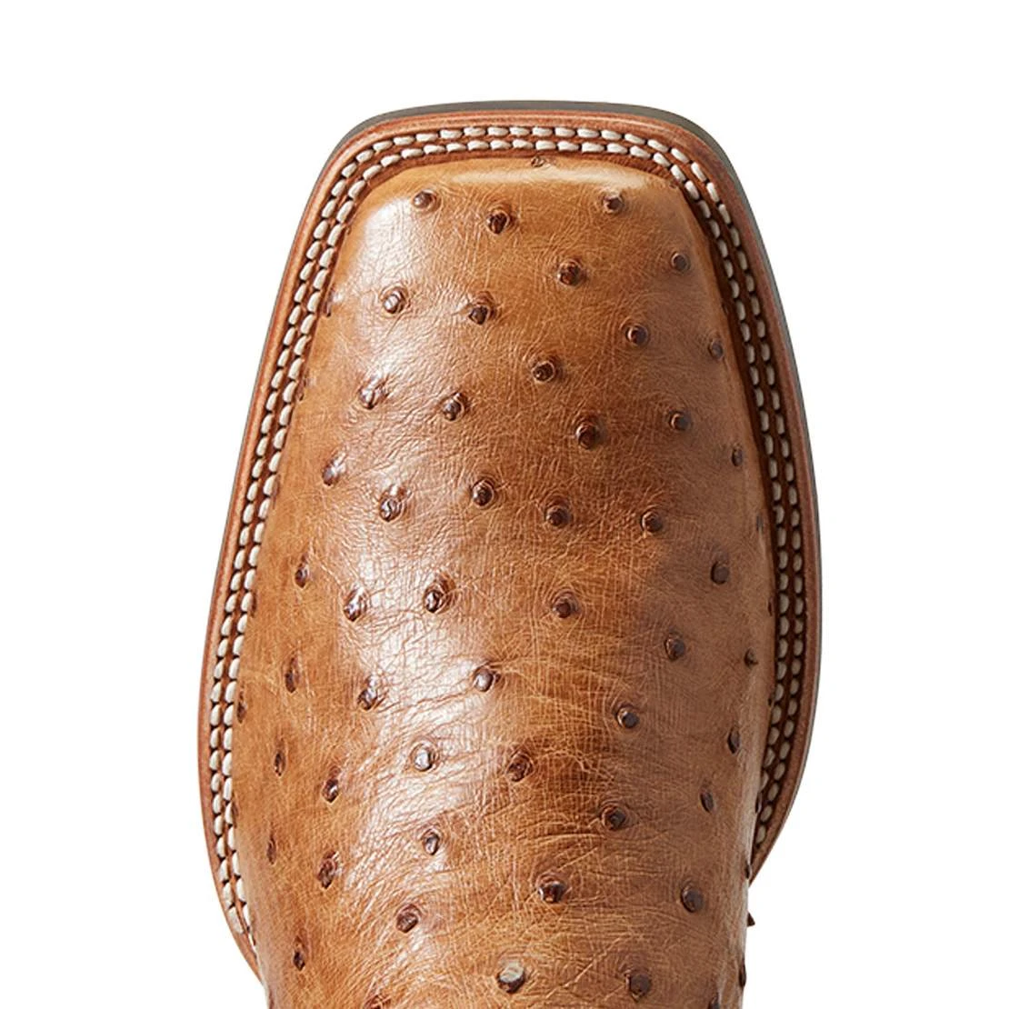 Ariat Men`s Quantum Primo Ranger FQ Ostrich 11` Beam Brown Top Square Toe Boots 5 Ariat Men`s Quantum Primo Ranger FQ Ostrich 11` Beam Brown Top Square Toe Boots - Image 5