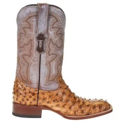 Tanner Mark Boots Men's Rustic Orix FQ Ostrich Print 12in. Indian Honey Top Boot -Ariat Sales Store TM207017 4